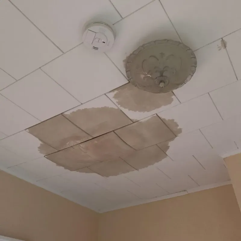 Ceiling Water Damage Repair in West Point, GA